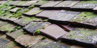 Warmington roof repair costs